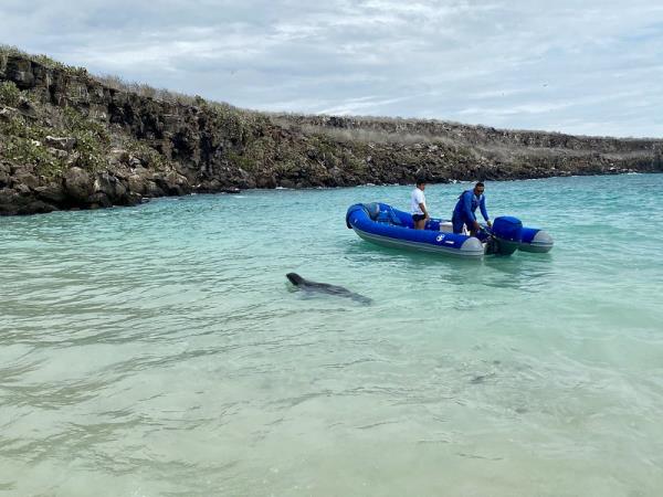 Galapagos and Ecuador tour