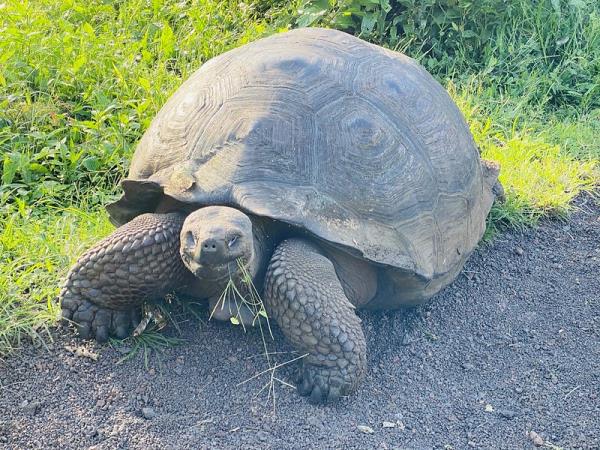 Galapagos and Ecuador tour