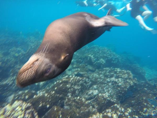 Galapagos and Ecuador tour