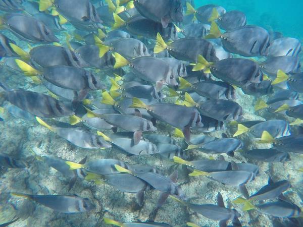 Galapagos and Ecuador tour