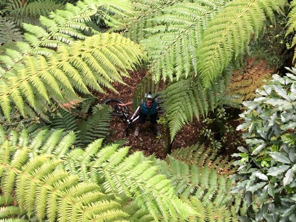 Cycle the whole of New Zealand