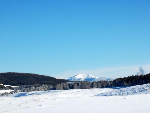 Yellowstone winter wildlife tour