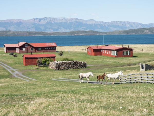 Chile & Patagonia vacation