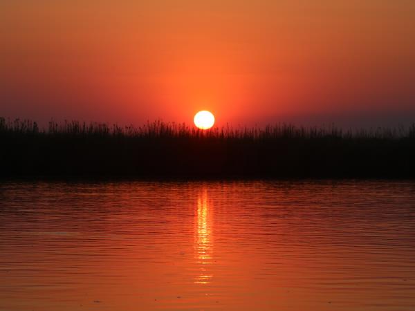 Congo safari vacation