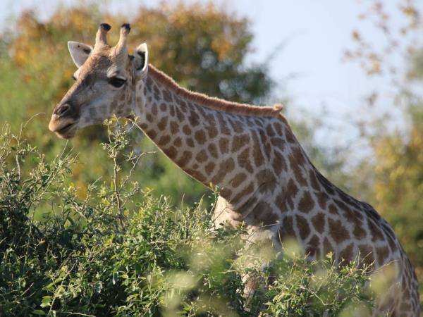 Namibia wildlife safari, off the beaten track