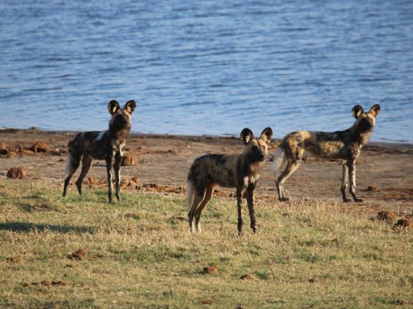 Namibia wildlife safari, off the beaten track