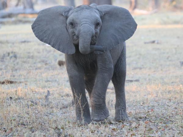 Namibia wildlife safari, off the beaten track