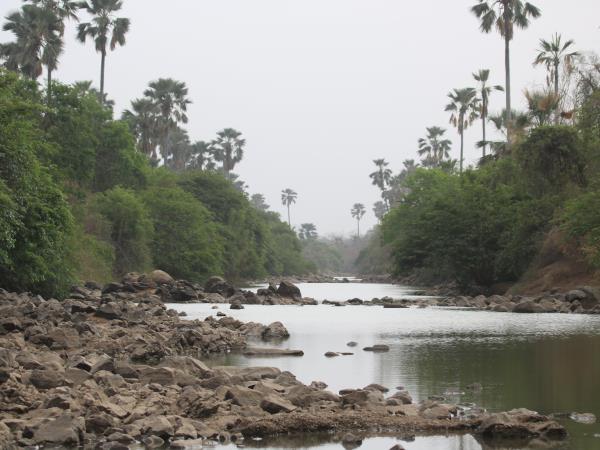 Senegal wildlife vacation