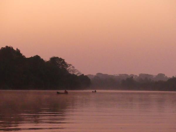 Pygmy hippo safari in Sierra Leone