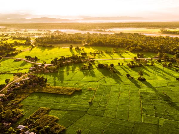 Nepal homestay vacation in Bardiya National Park