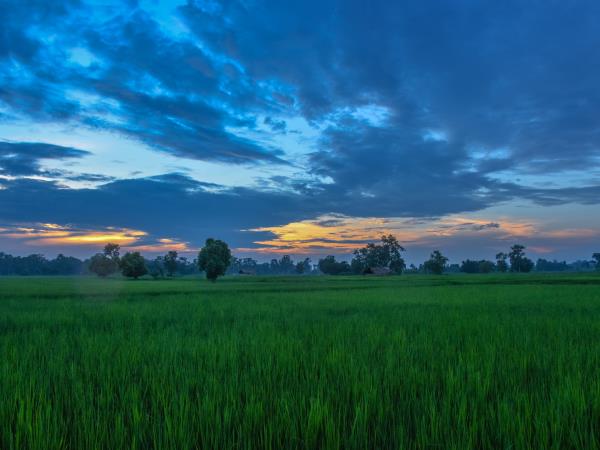 Nepal homestay vacation in Bardiya National Park