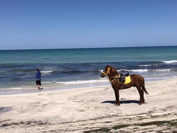 Djerba Island vacation in Tunisia