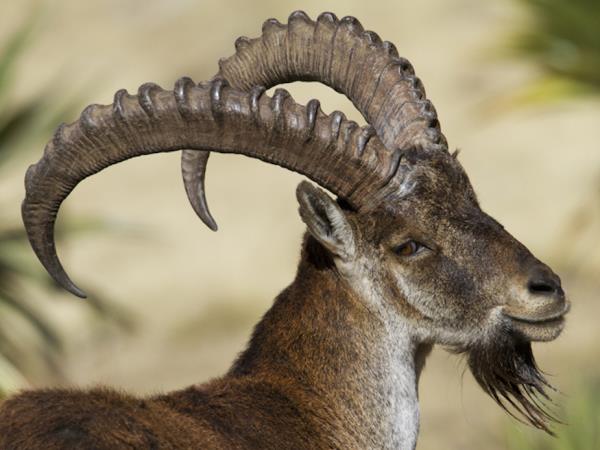 Ethiopia cultural tour, 14 days