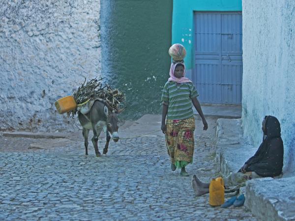 Ethiopia cultural tour, 14 days