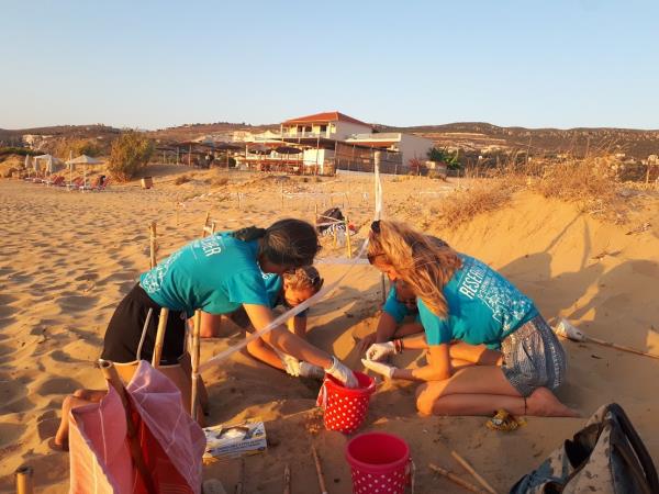 Turtle conservation in Greece