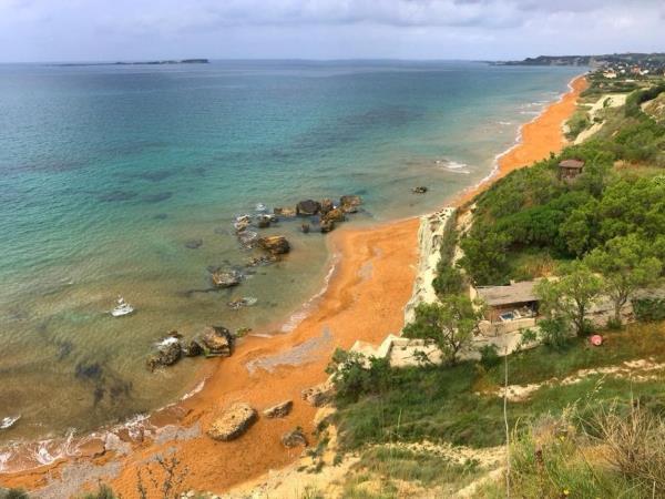 Turtle conservation in Greece