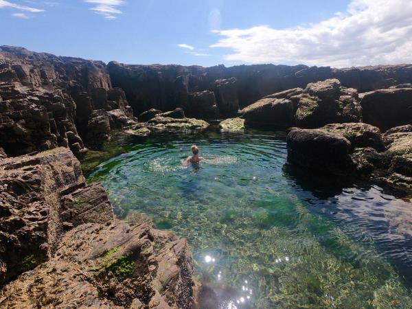 Patagonia wildlife vacation