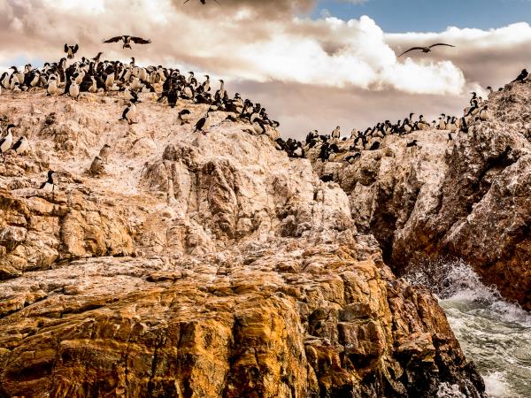 Patagonia wildlife vacation