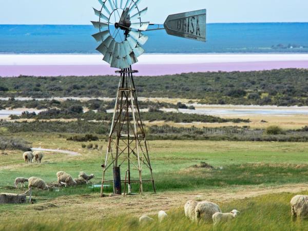 Patagonia wildlife vacation