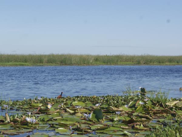 Ibera Wetlands and Iguazu Falls tour, Argentina