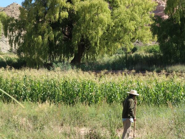 The North of Argentina vacation