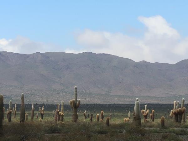 The North of Argentina vacation