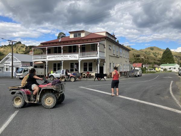 Cape to Cape cycle ride in New Zealand