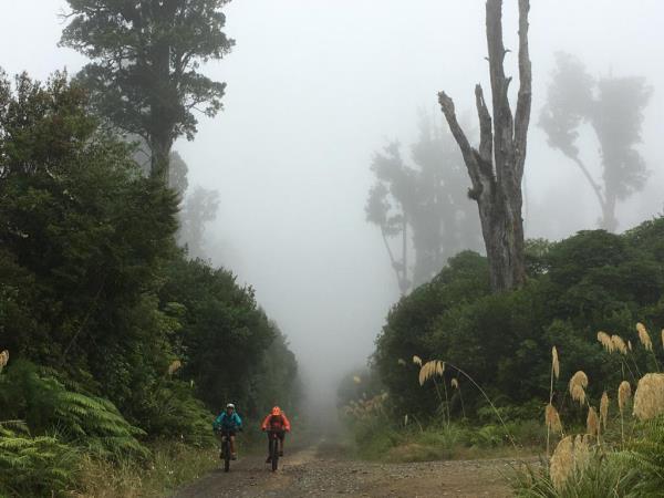 Cape to Cape cycle ride in New Zealand