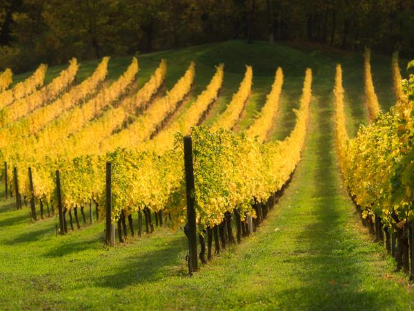 Slovenia photographic holiday