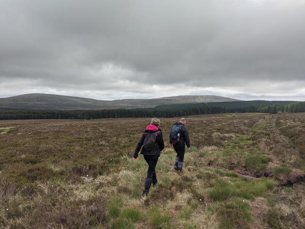 Mourne Mountains and Antrim Hills walking vacation