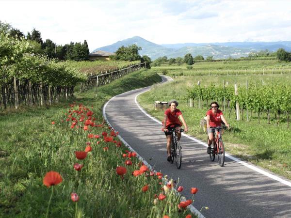 Lake Garda cycling vacation in Italy