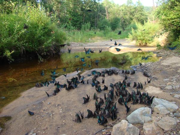 Russia wildlife vacation in Lazovsky Nature Reserve