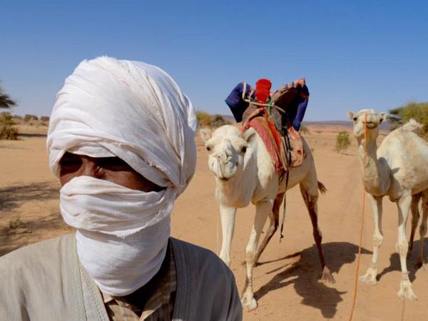 Mauritania vacation, desert adventure