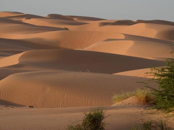 Mauritania vacation, desert adventure