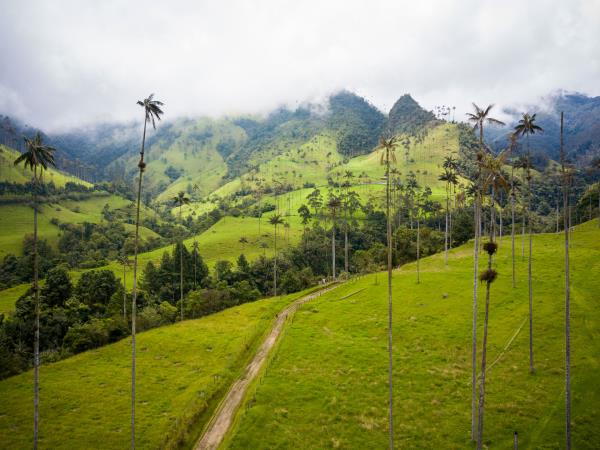 Colombia small group vacation