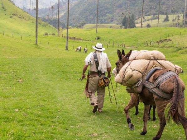 Colombia small group vacation