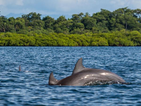 Panama vacation, cloudforests to the Caribbean