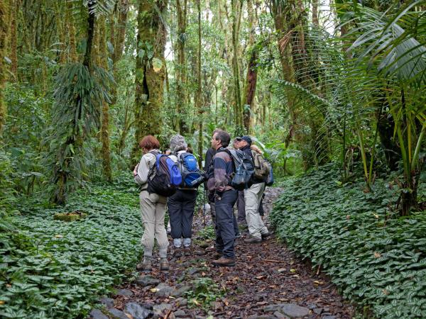 Panama vacation, cloudforests to the Caribbean