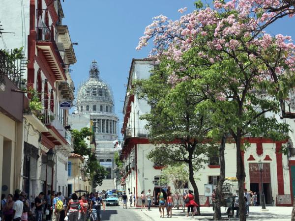 Cuba birdwatching tour