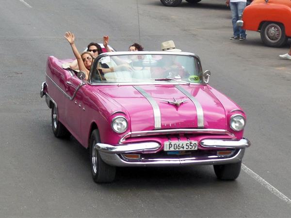 Cuba birdwatching tour