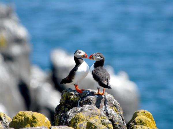 Walking Scotland’s Orkney Islands vacation