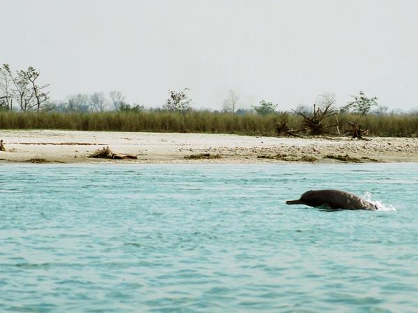 Wildlife vacation in North East India