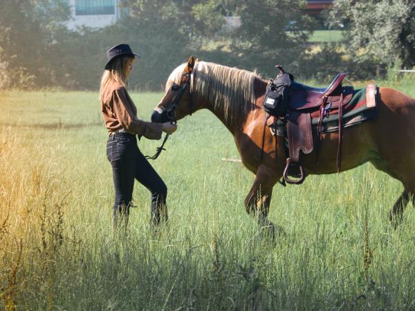 Volunteer with horses in Portugal