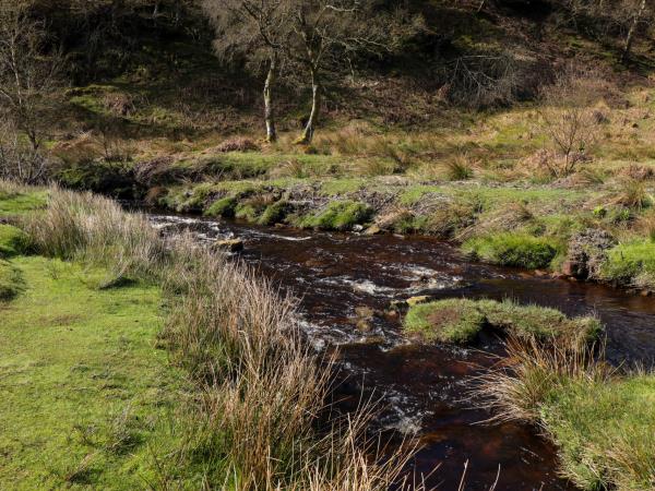 North York Moors walking vacation