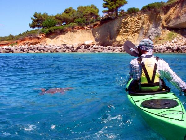 Kefalonia sea turtle vacation in Greece
