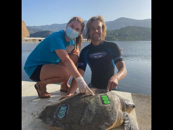Kefalonia sea turtle vacation in Greece