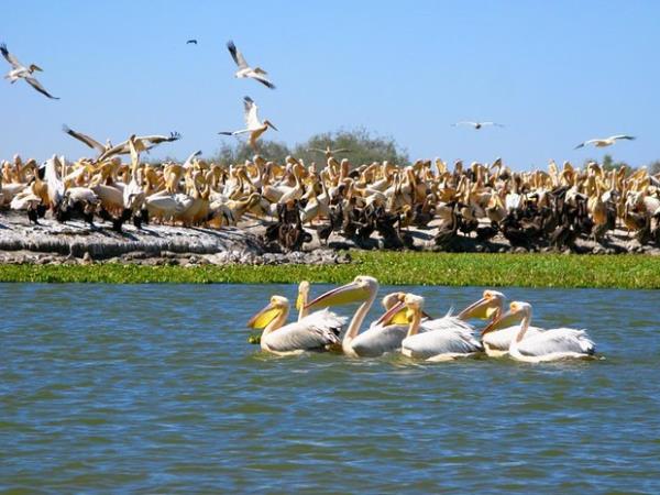 Senegal vacation, best of Senegal