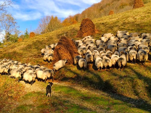 Basque country hiking vacation