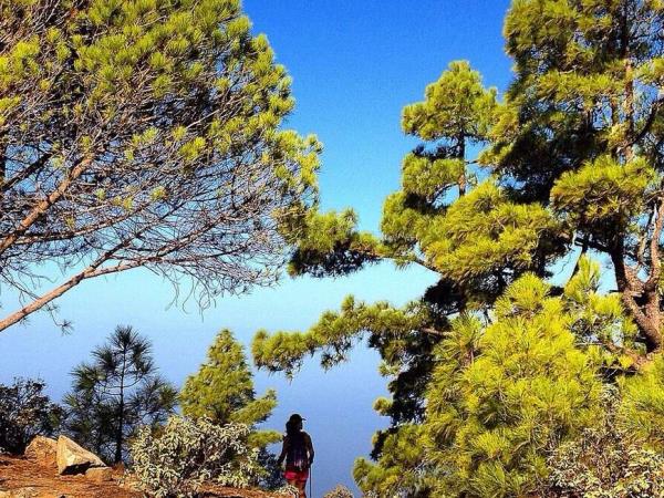 Gran Canaria self guided hiking vacation