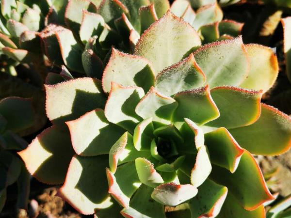 Gran Canaria self guided hiking vacation